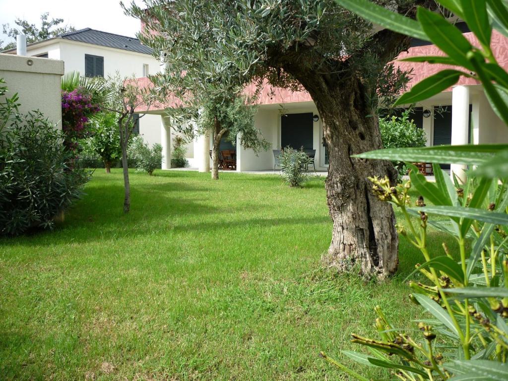 Residence Marea Resort Santa Lucia di Moriani Bagian luar foto