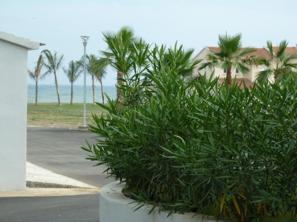 Residence Marea Resort Santa Lucia di Moriani Bagian luar foto