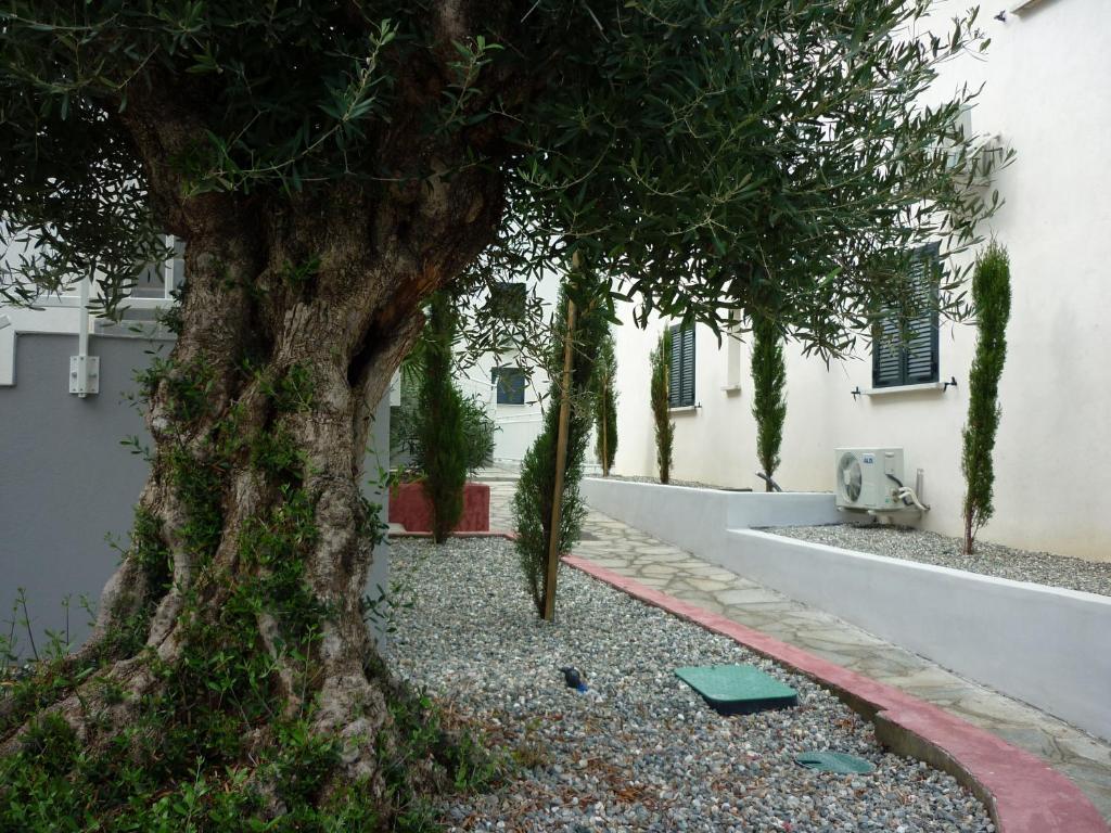 Residence Marea Resort Santa Lucia di Moriani Bagian luar foto